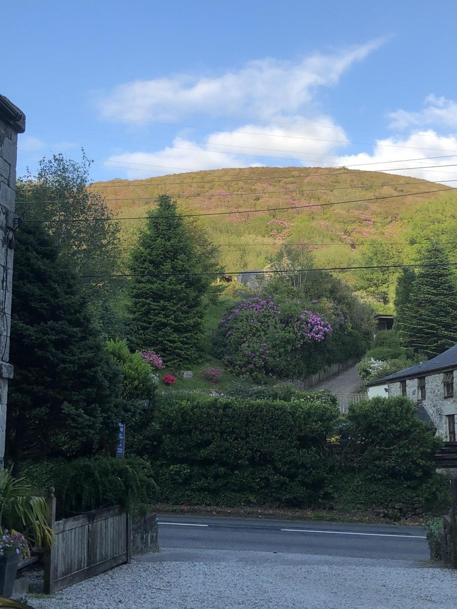 The Chapel Guest House St Austell Exterior photo